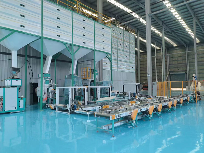 Color Sorting & Packaging